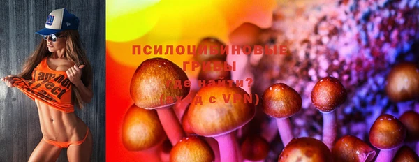 сатива Белоозёрский