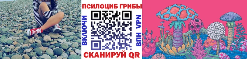 Галлюциногенные грибы мицелий  MEGA маркетплейс  Горно-Алтайск 