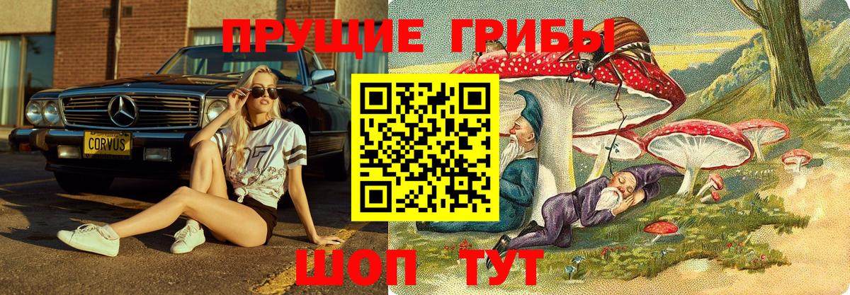 Галлюциногенные грибы GOLDEN TEACHER Горно-Алтайск