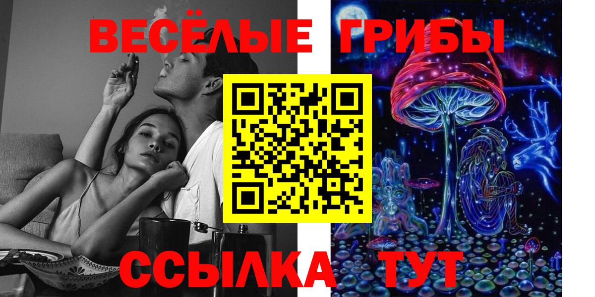 Горно-Алтайск  Галлюциногенные грибы MAGIC MUSHROOMS  Вход с VPN  Псилоцибиновые грибы прущие грибы 